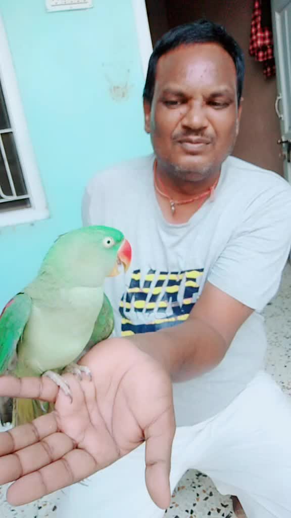 @rahul jacker jagdish