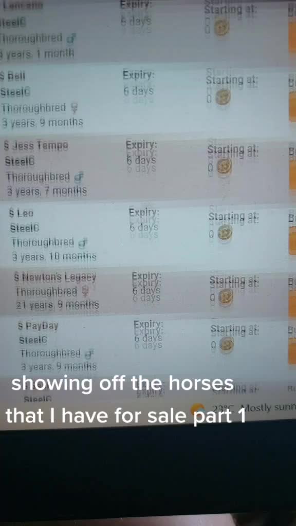 @horse reality