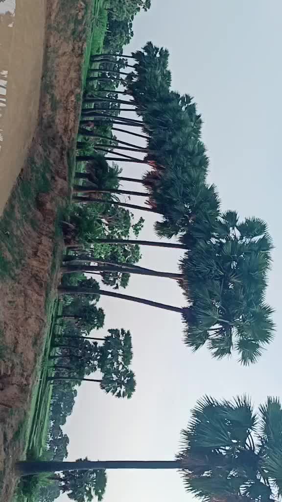 @itz_pravi2729