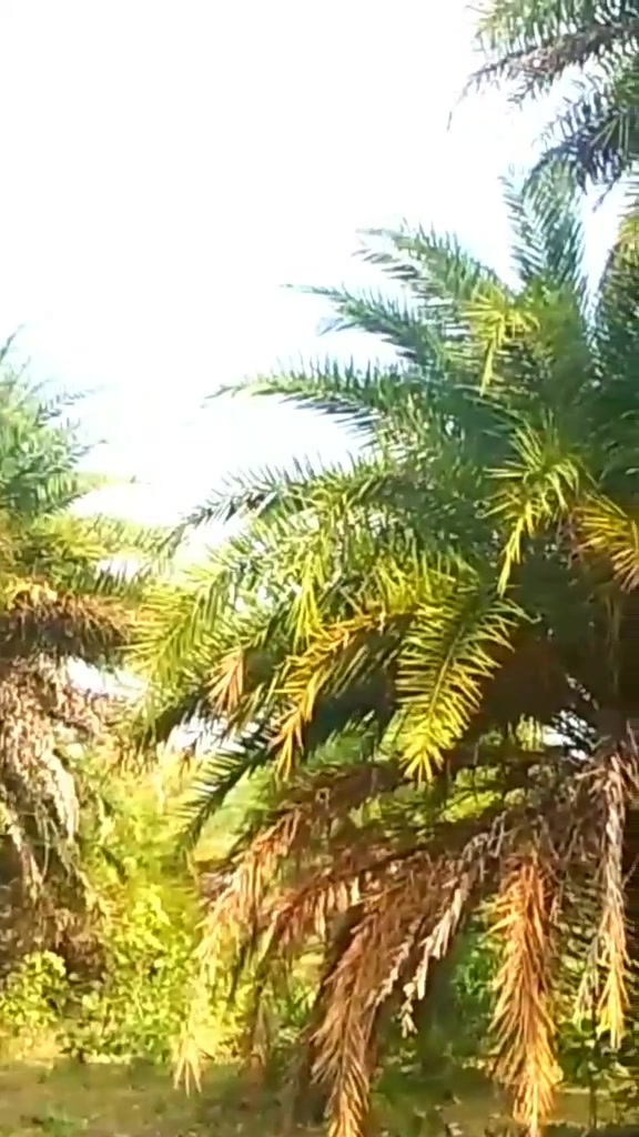 @Gadhu_Yadav73