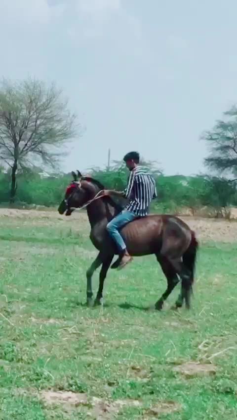 @Gopal Bharvad