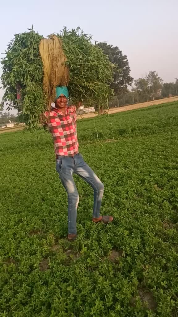 @Lovepreet Aulakh