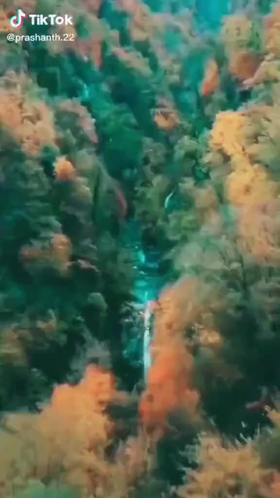 @devil_sonu