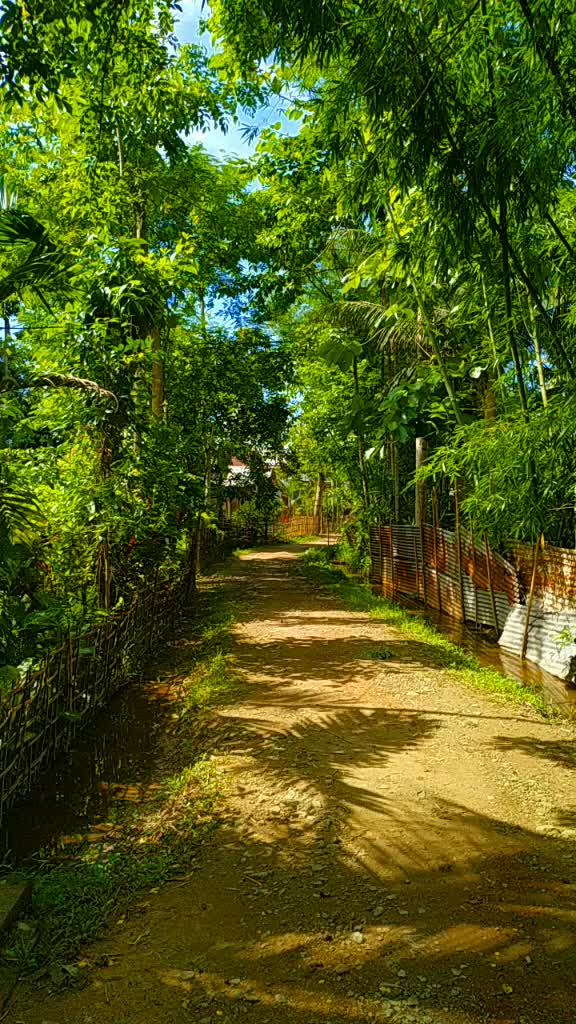 @Parbina Sonowal