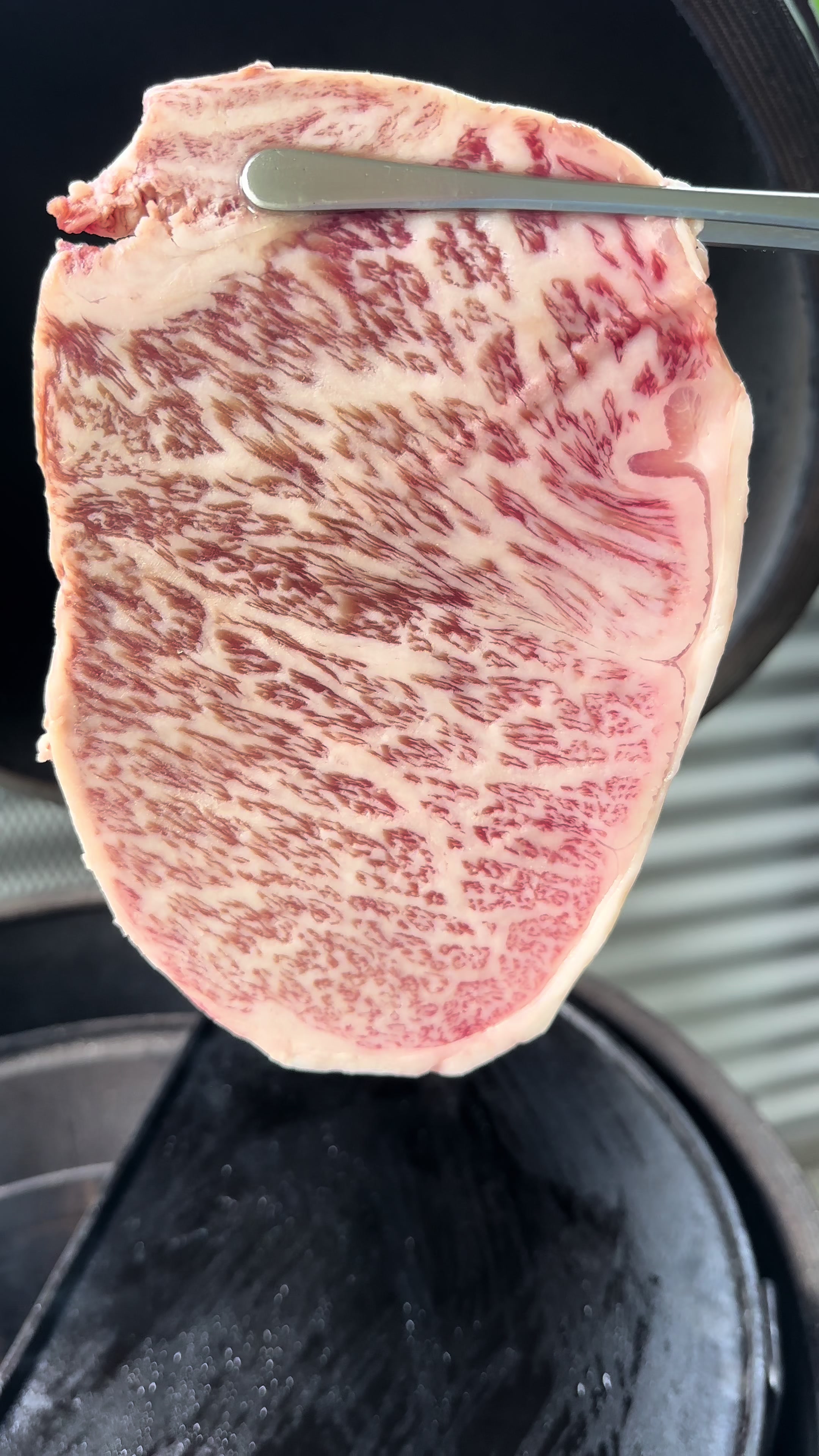 @bbqleg