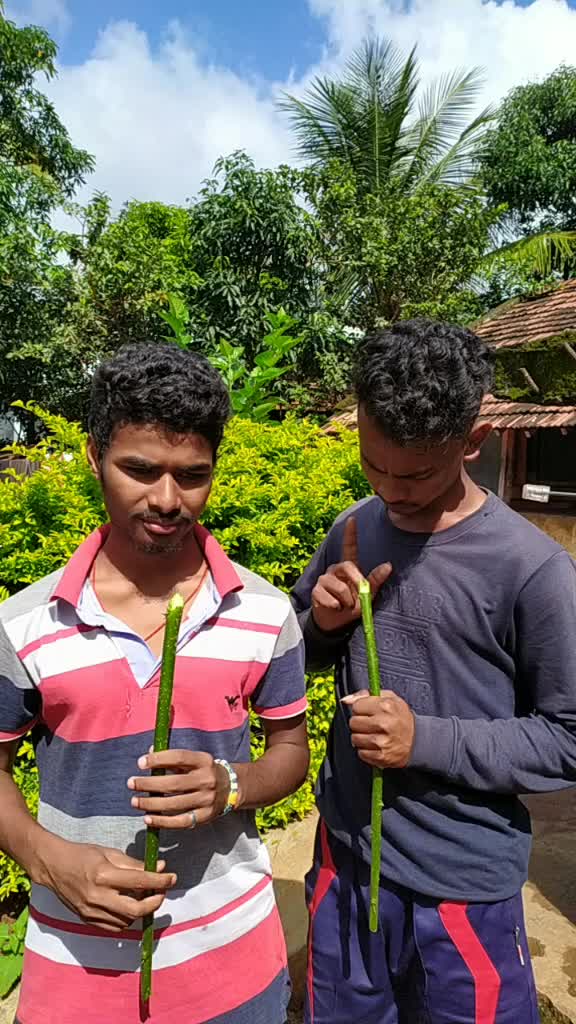 @Varun Nandula