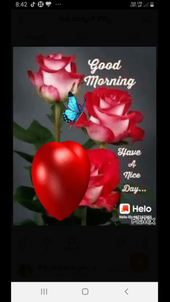 @user09469222006