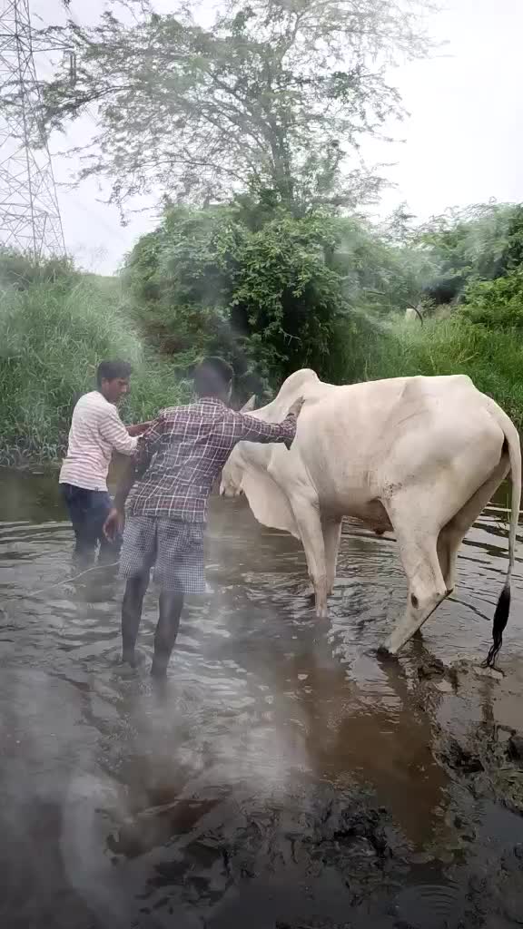 @Abhimanyu