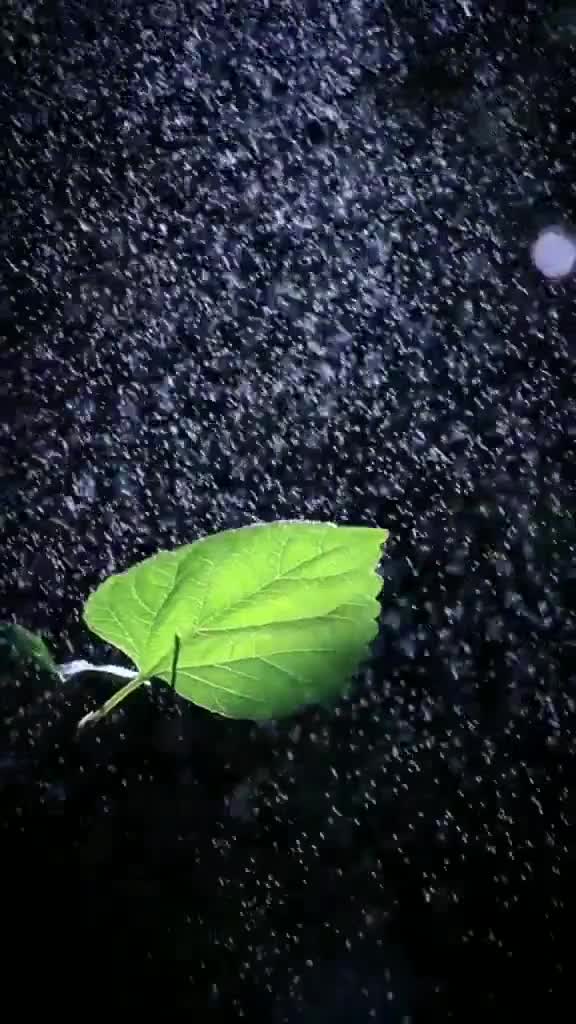 @பூமிராஜா