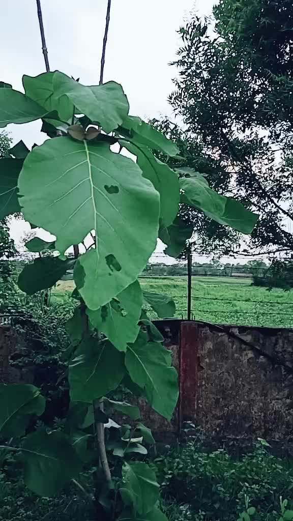 @Ritik Sahu