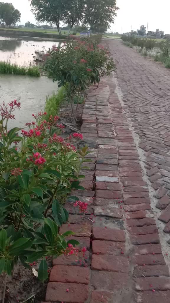 @Manjeet Singh Basra