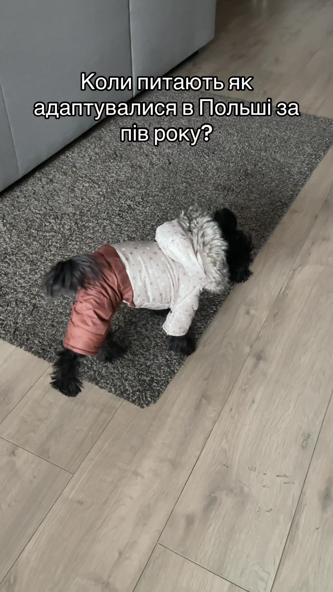 @Fiftycenta