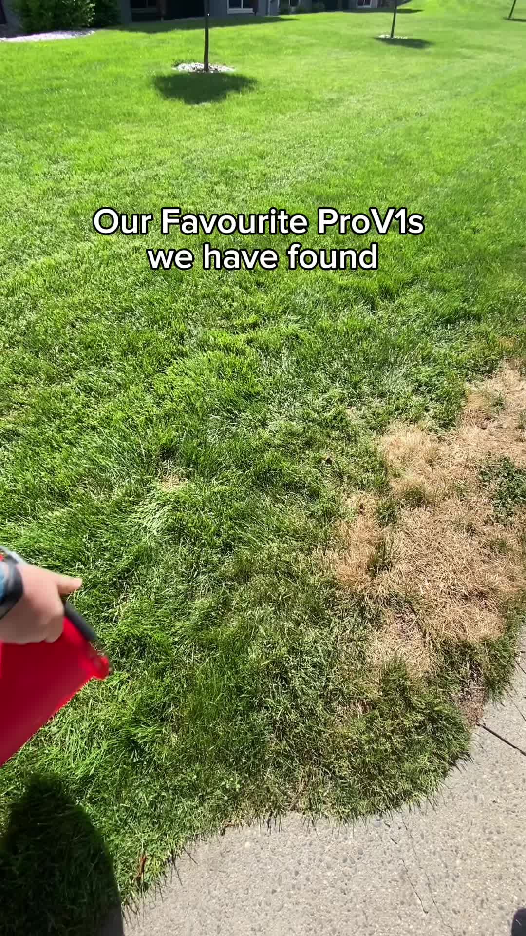 @EDgolfballs