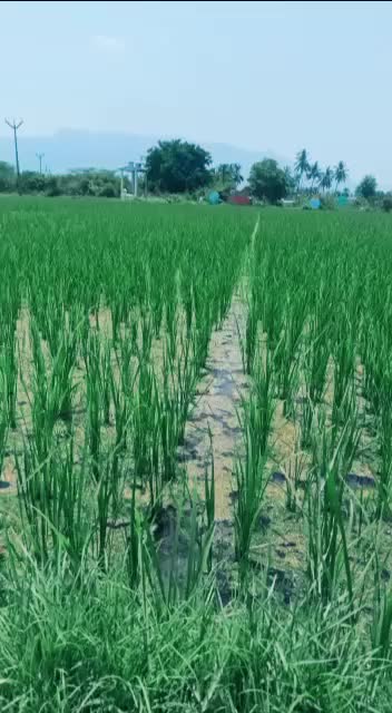 @Arun raj
