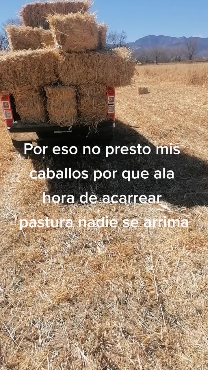 @Jdelcampo