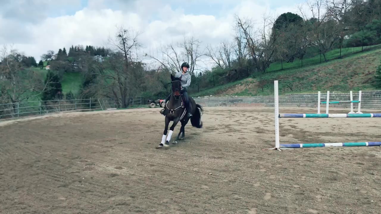@Equine.blessings