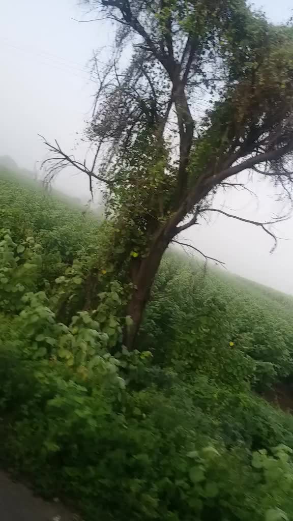 @Chirag Padsala