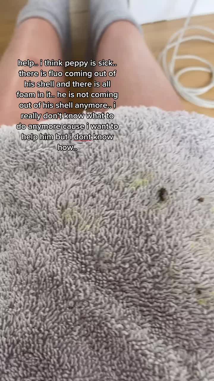 @Peppy the snail <3