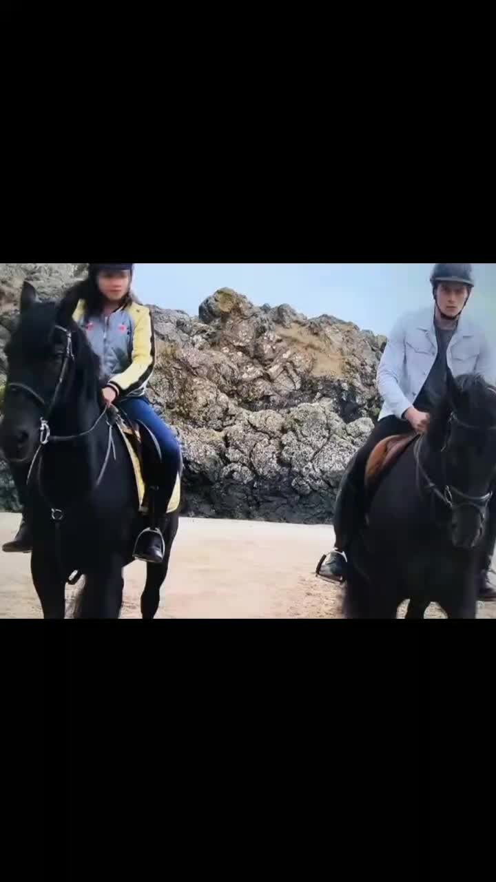 @💗🐴 FREE REIN 💗🐴