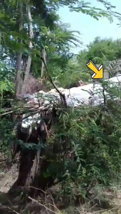 @Nikunj Nizama✅