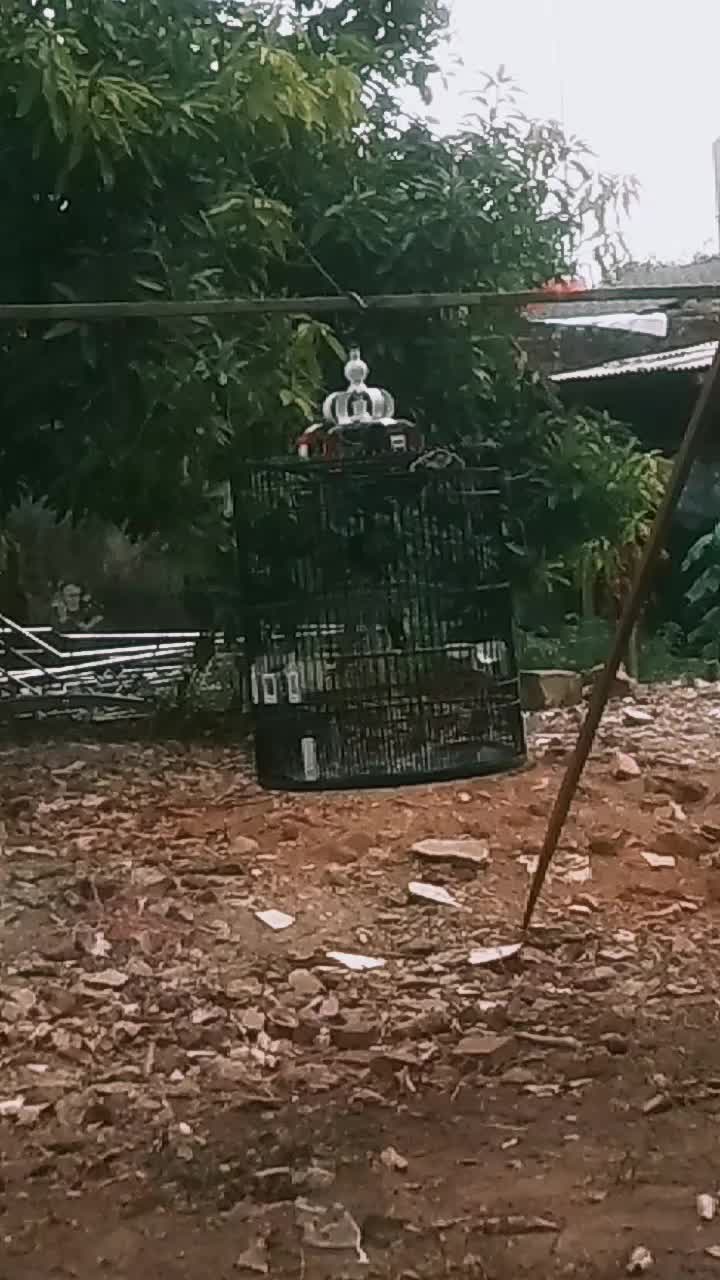 @Putra S5307