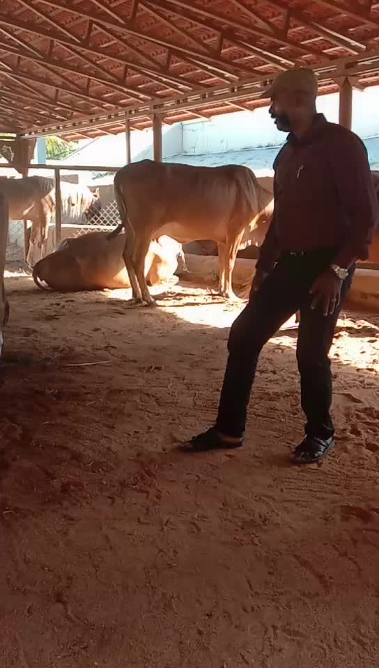 @Ramasamy