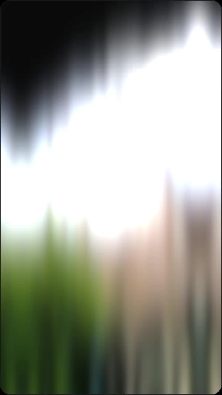 @mane99