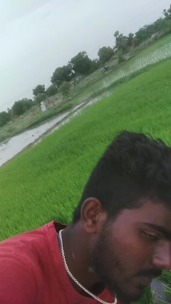 @Rakesh