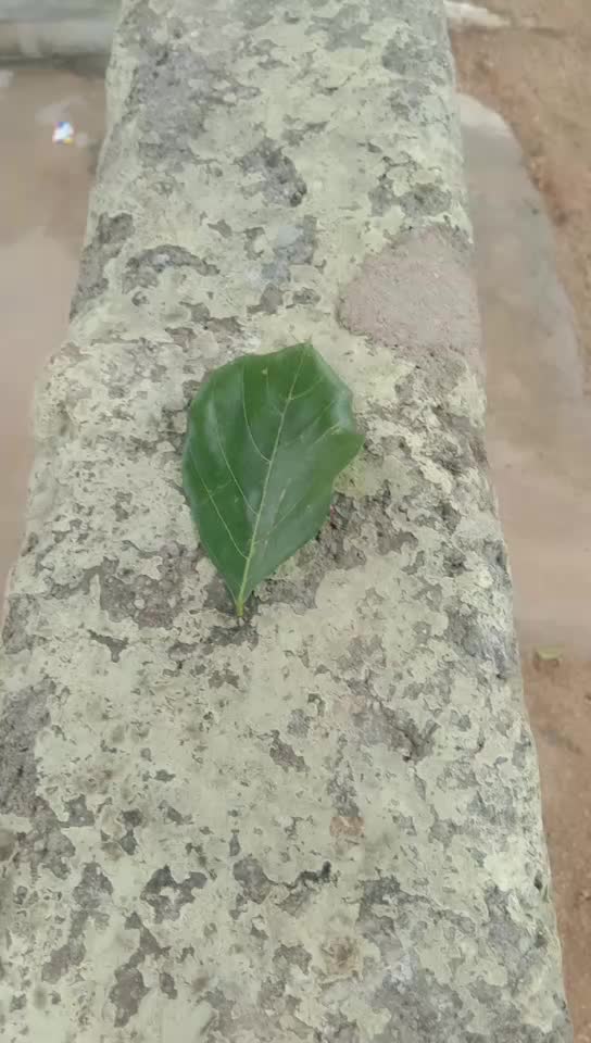 @user2096675119008