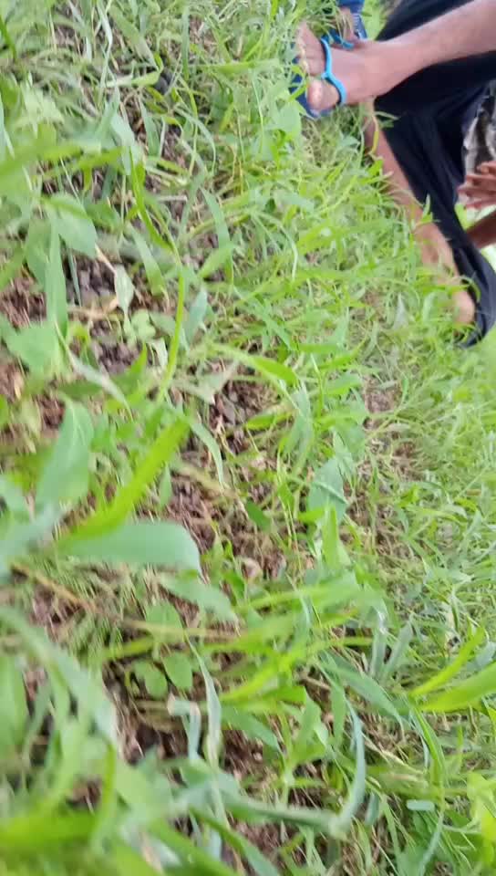 @સુરેશ કટોશણા