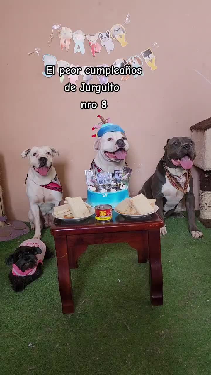 @Michu🐱🐶