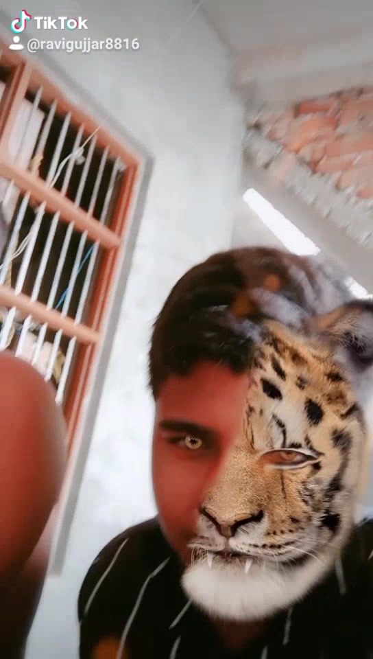 @Ravi Gujjar
