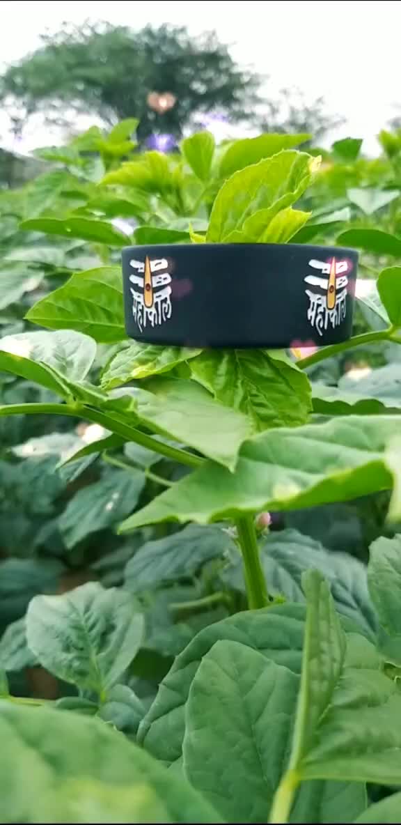 @👑king off ksrawat👑