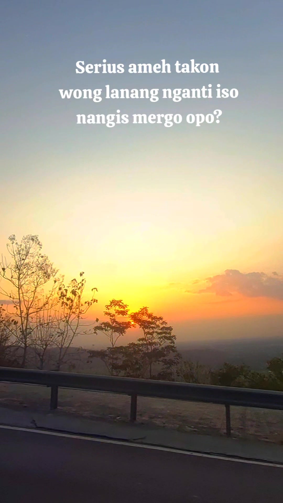 @sinta.s