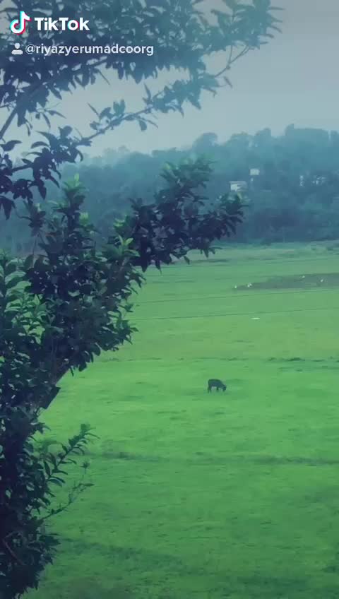 @RiYaZ :ibnuasainar