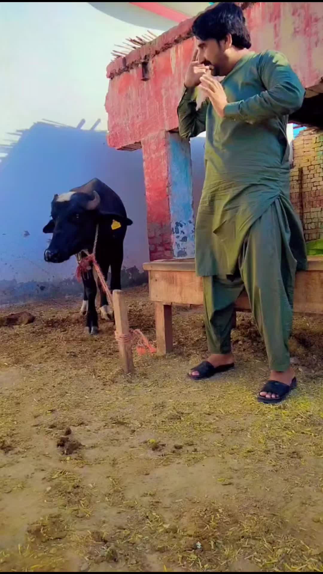 @Imran Rao