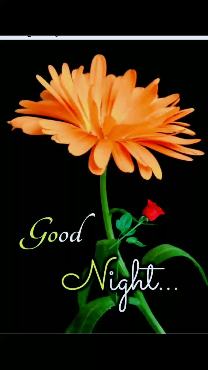 @Chouhan Mahesh  7600