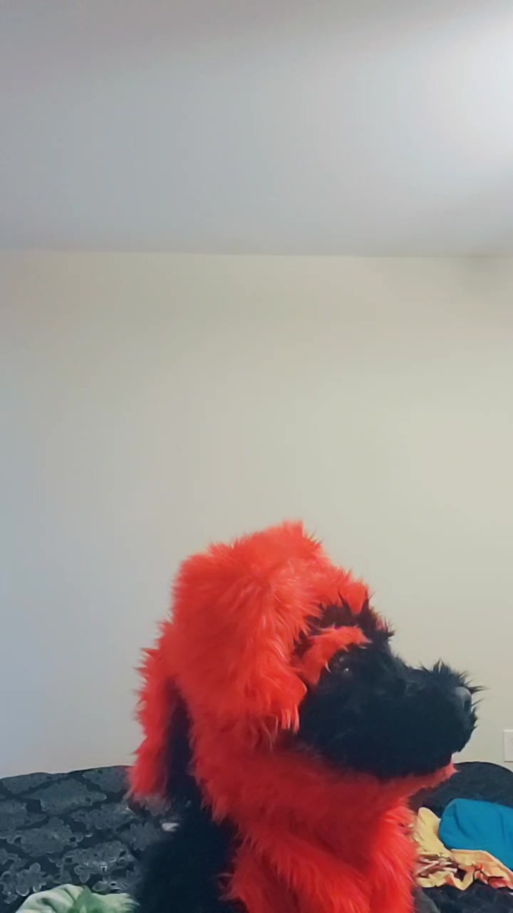 @Blaze Wolf