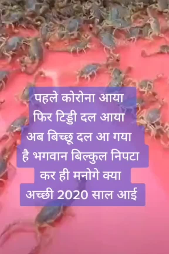 @tiwari_r 👻