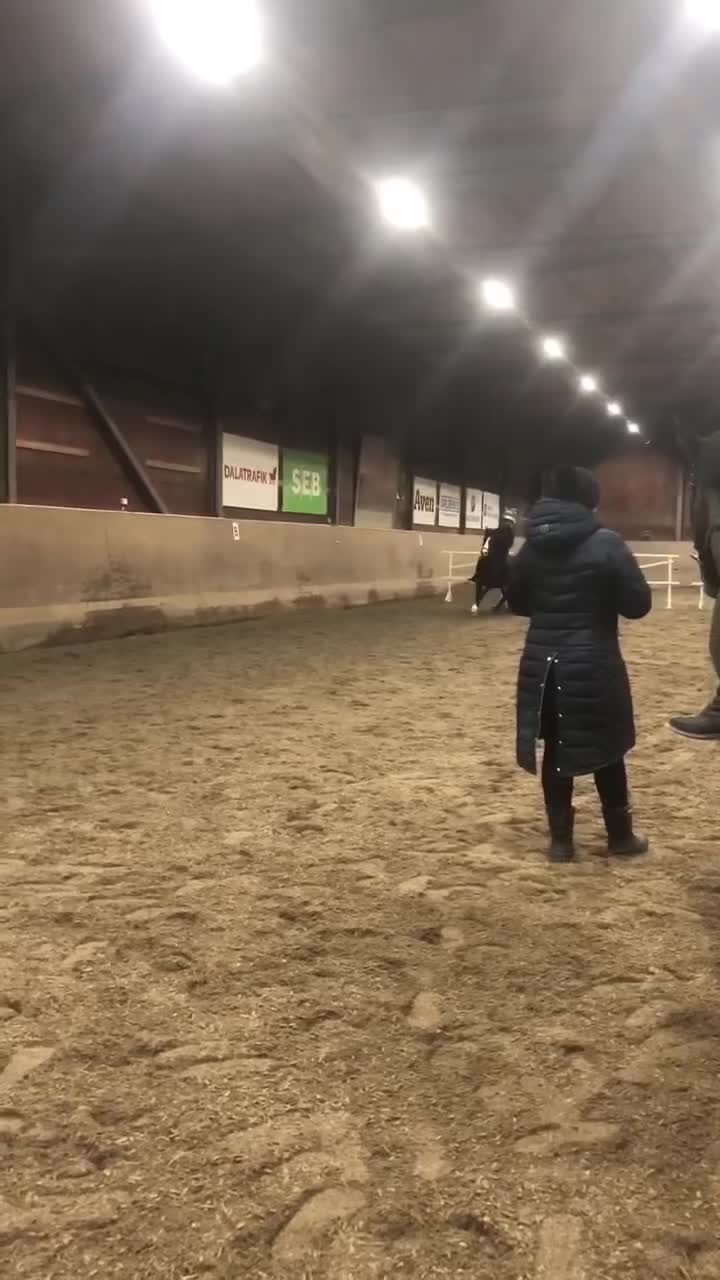@3 ryttare✨