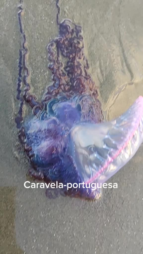 @Franciele Rodrigues