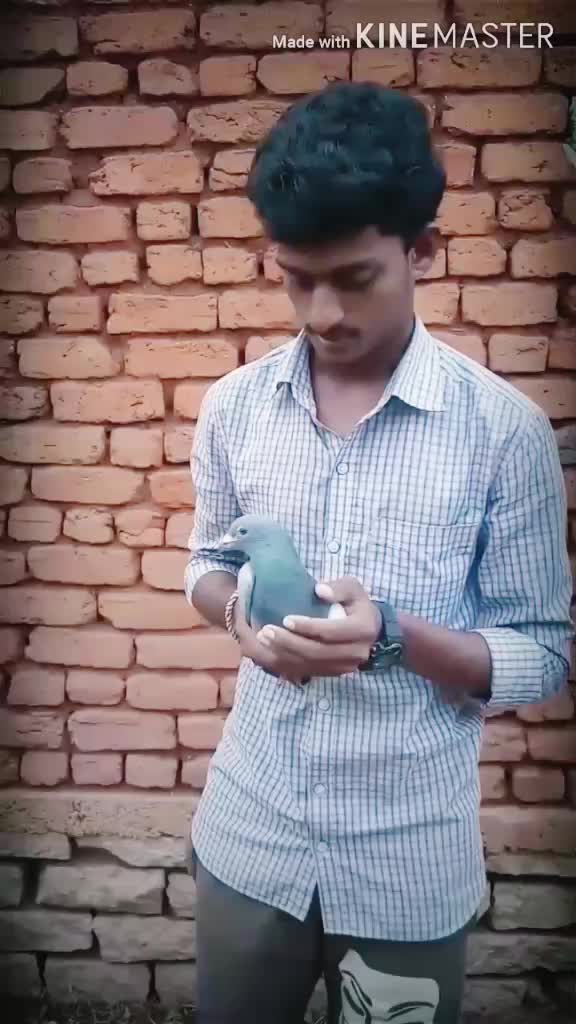@hemanth