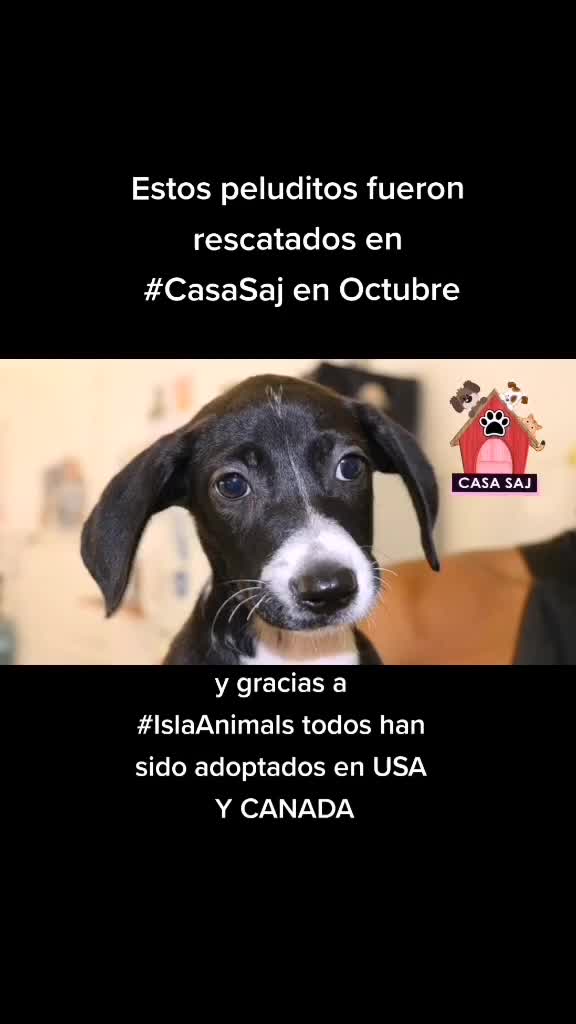 @CasaSAJ