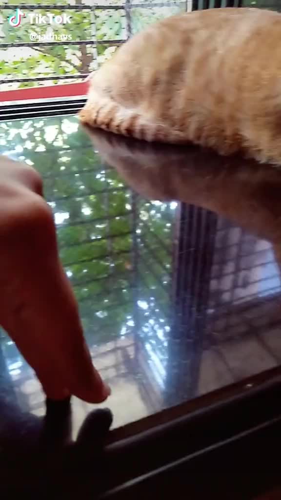 @divyanshi420