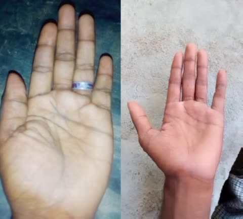 @viveks6382