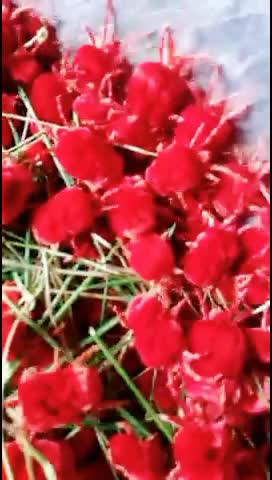 @Kaleem Laddu