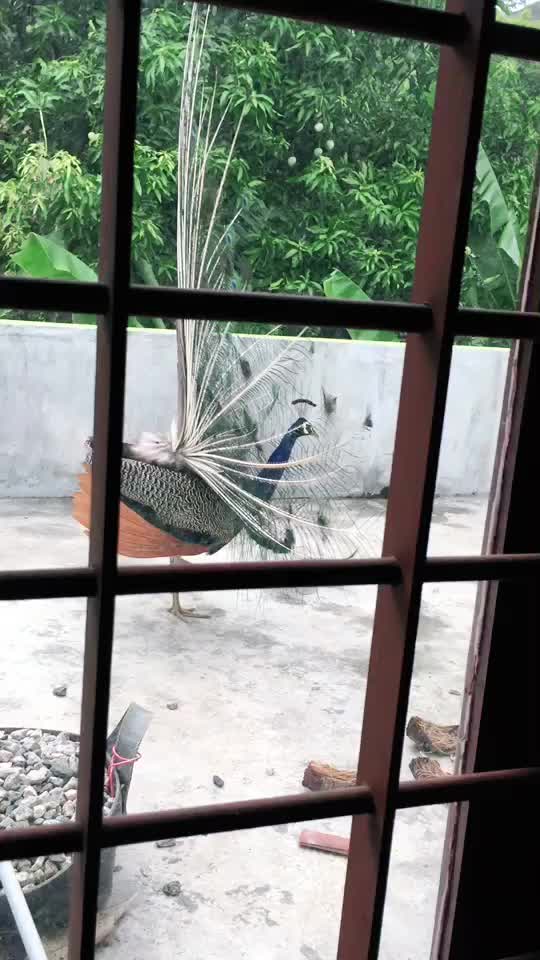 @Byju369