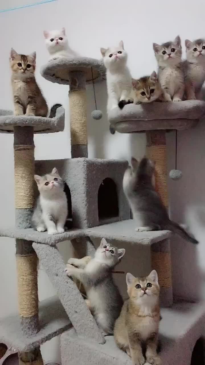 @Mr. Allen