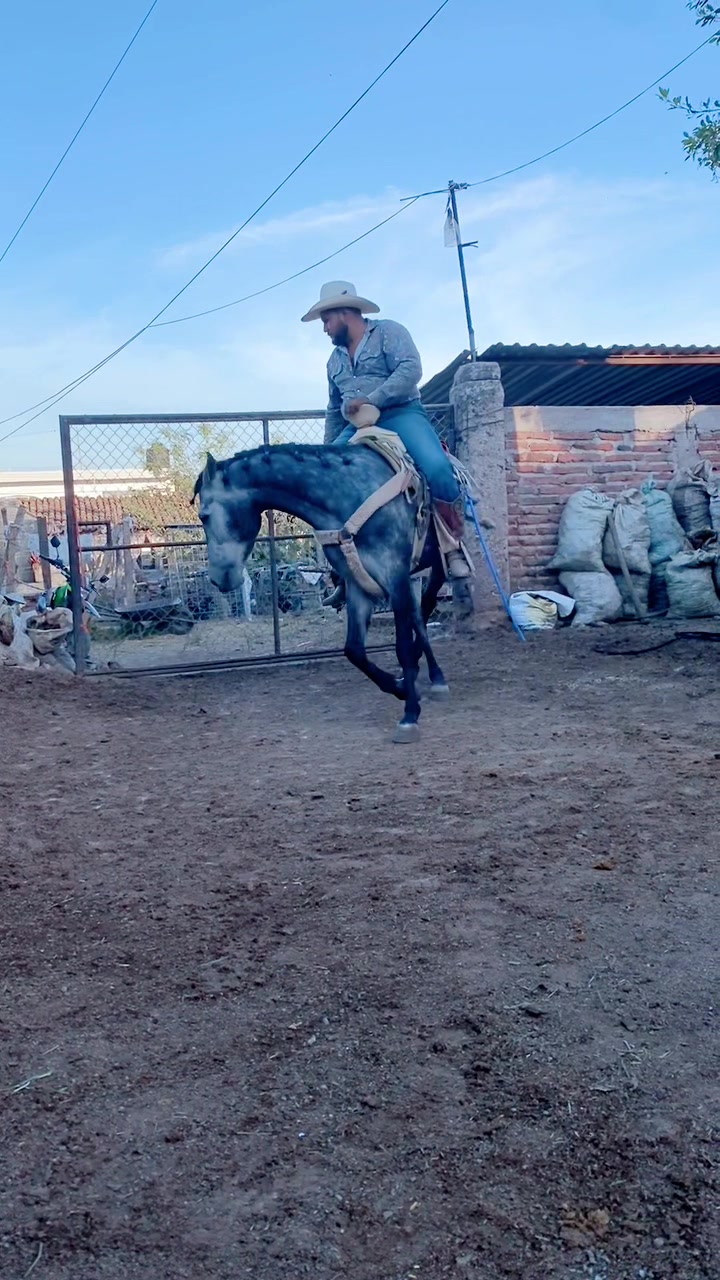 @Rober Villase&ntilde;or