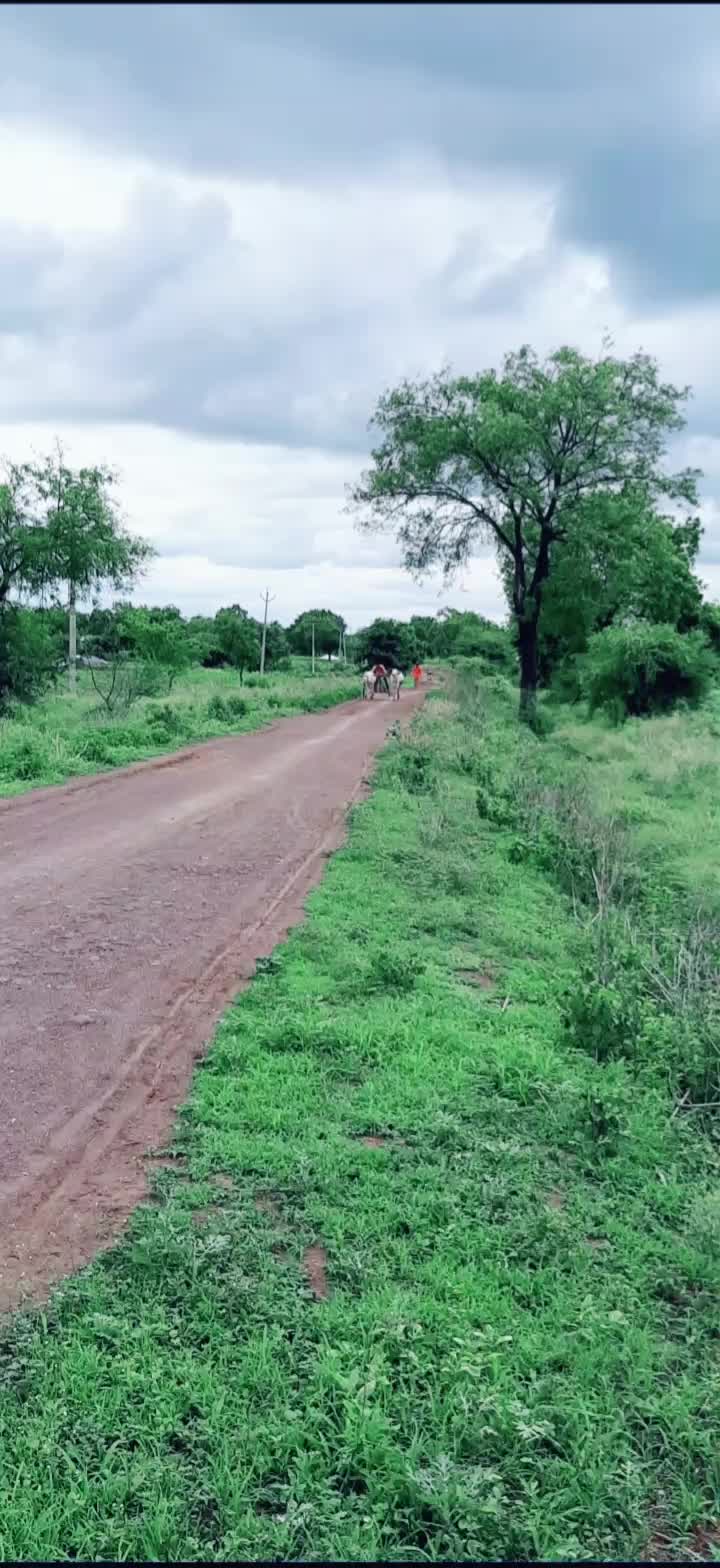 @sonya2576